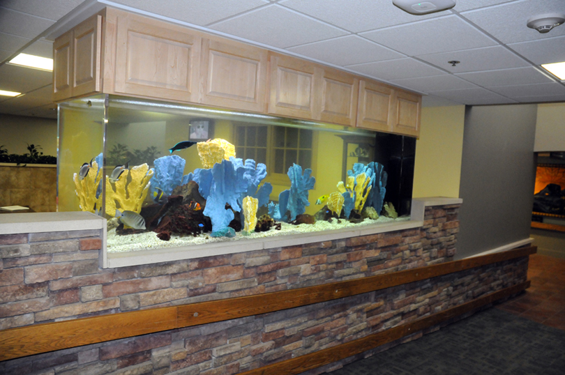 Custom saltwater aquarium installation